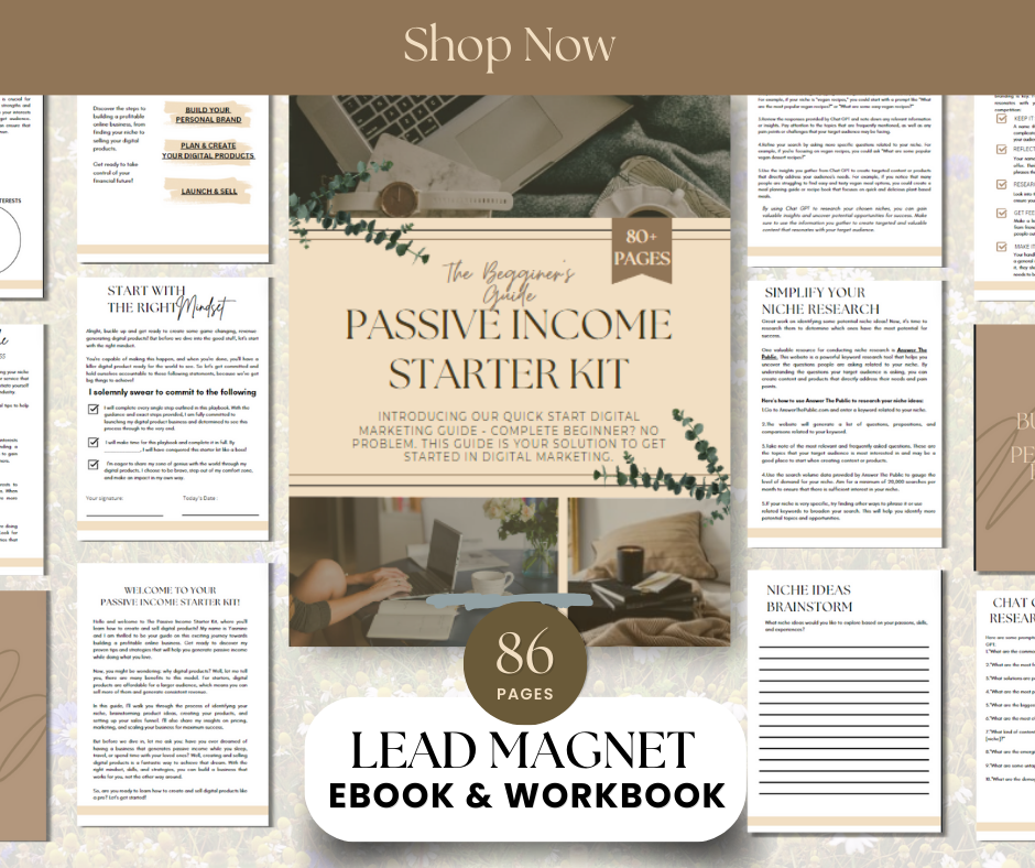 The Passive Income Starter Kit With MRR & PLR